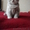 Продаются элитные котята шотландской вислоухой - <ro>Изображение</ro><ru>Изображение</ru> #1, <ru>Объявление</ru> #200087