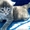 Симпатичные котята - <ro>Изображение</ro><ru>Изображение</ru> #3, <ru>Объявление</ru> #249049