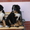Элитные щенки бернского зенненхунда - <ro>Изображение</ro><ru>Изображение</ru> #2, <ru>Объявление</ru> #268082