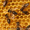 Продукты пчеловодства #269325