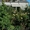 Продажа и установка маркизов для зимних садов. Симферополь, Крым. - <ro>Изображение</ro><ru>Изображение</ru> #1, <ru>Объявление</ru> #301933