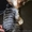 щенок йоркширского терьера 10 месяцев - <ro>Изображение</ro><ru>Изображение</ru> #2, <ru>Объявление</ru> #307121