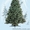Новогодние искусственные елки и искусственные сосны от произв. ОПТ и РОЗНИЦА - <ro>Изображение</ro><ru>Изображение</ru> #1, <ru>Объявление</ru> #416571