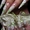 Наращивание штучных ресниц, наращивание ногтей (акрил.гель) - <ro>Изображение</ro><ru>Изображение</ru> #4, <ru>Объявление</ru> #443330