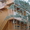 Строительство Каркасно-щитовые дома с отделкой "под сруб". - <ro>Изображение</ro><ru>Изображение</ru> #2, <ru>Объявление</ru> #433370