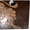 Мозаика из американского стекла и керамической плитки - <ro>Изображение</ro><ru>Изображение</ru> #5, <ru>Объявление</ru> #469523