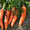 продам овощи: капусту, картофель, морковь - <ro>Изображение</ro><ru>Изображение</ru> #3, <ru>Объявление</ru> #510724