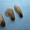 Семена голубой ели - <ro>Изображение</ro><ru>Изображение</ru> #1, <ru>Объявление</ru> #505303