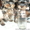Продаются прекрасные щеночки йоркширского терьера - <ro>Изображение</ro><ru>Изображение</ru> #2, <ru>Объявление</ru> #516029