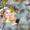 Свадьба в Симферополе - <ro>Изображение</ro><ru>Изображение</ru> #8, <ru>Объявление</ru> #521717