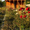 Продается дом в Орлином, 150 метров от озера - Крым - <ro>Изображение</ro><ru>Изображение</ru> #9, <ru>Объявление</ru> #592491