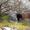 Продается участок с собственной пещерой, Севастополь - Крым - <ro>Изображение</ro><ru>Изображение</ru> #1, <ru>Объявление</ru> #592536