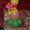 Оформление воздушными шарами Симферополь - <ro>Изображение</ro><ru>Изображение</ru> #6, <ru>Объявление</ru> #617321