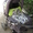 Продам детскую коляска-трансформер Adamex YOUNG  - <ro>Изображение</ro><ru>Изображение</ru> #2, <ru>Объявление</ru> #688999
