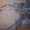 Художественная роспись стен в Симферополе и Крыму - <ro>Изображение</ro><ru>Изображение</ru> #1, <ru>Объявление</ru> #811495