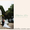 Свадьбы во дворцах в Крыму - <ro>Изображение</ro><ru>Изображение</ru> #2, <ru>Объявление</ru> #870610