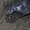 Пенекрит-гидроизоляция трещин,швов,стыков и т. д.   - <ro>Изображение</ro><ru>Изображение</ru> #6, <ru>Объявление</ru> #926524