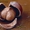 Плоды крупноплодного фундука Трапезунд в скорлупе - <ro>Изображение</ro><ru>Изображение</ru> #1, <ru>Объявление</ru> #974153
