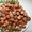 Плоды крупноплодного фундука Трапезунд в скорлупе - <ro>Изображение</ro><ru>Изображение</ru> #5, <ru>Объявление</ru> #974153