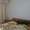 Сдам Частный дом под ключ п.Черноморское Крым - <ro>Изображение</ro><ru>Изображение</ru> #3, <ru>Объявление</ru> #1095850