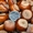 Вегетативные саженцы фундука "Трапезунд"  - <ro>Изображение</ro><ru>Изображение</ru> #4, <ru>Объявление</ru> #806210