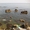 Отдых в Крыму, Симеиз, отель Ассоль. 5 метров до моря - <ro>Изображение</ro><ru>Изображение</ru> #9, <ru>Объявление</ru> #1230143