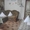 Отдых в Крыму. Сдам 2 комнаты в частном доме - <ro>Изображение</ro><ru>Изображение</ru> #4, <ru>Объявление</ru> #1456389