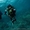 Подводная экскурсия в Голубой бухте Севастополя - <ro>Изображение</ro><ru>Изображение</ru> #2, <ru>Объявление</ru> #1530018