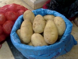 оптовые поставки овощей и фруктов