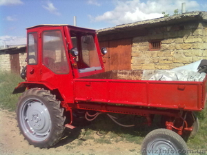 Продам трактор Т-16 - <ro>Изображение</ro><ru>Изображение</ru> #1, <ru>Объявление</ru> #304029