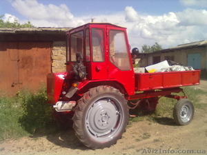 Продам трактор Т-16 - <ro>Изображение</ro><ru>Изображение</ru> #2, <ru>Объявление</ru> #304029