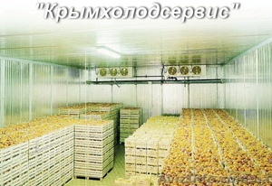 Строительство фруктохранилищ - <ro>Изображение</ro><ru>Изображение</ru> #7, <ru>Объявление</ru> #509170