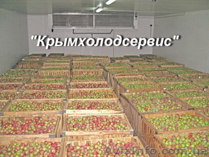 Строительство фруктохранилищ - <ro>Изображение</ro><ru>Изображение</ru> #4, <ru>Объявление</ru> #509170