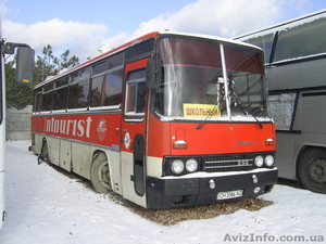 продам срочно автобус икарус - <ro>Изображение</ro><ru>Изображение</ru> #2, <ru>Объявление</ru> #567515