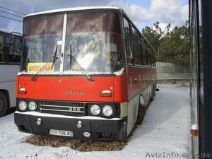 продам срочно автобус икарус - <ro>Изображение</ro><ru>Изображение</ru> #3, <ru>Объявление</ru> #567515
