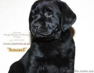 0506182105     0965994460