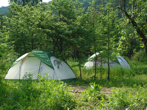 Детский летний палаточный лагерь в Крыму - <ro>Изображение</ro><ru>Изображение</ru> #7, <ru>Объявление</ru> #623929