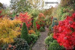 Ландшафтный дизайн и озеленение территории