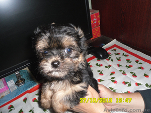 Девочки-припевочки