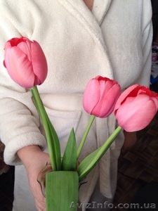 Голландские тюльпаны ( Симферополь) - <ro>Изображение</ro><ru>Изображение</ru> #3, <ru>Объявление</ru> #1051418