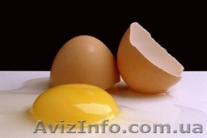 snova.wmeste, l@gmail.com