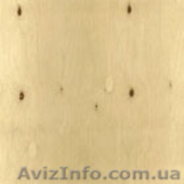 Фанера в ассортименте. - <ro>Изображение</ro><ru>Изображение</ru> #1, <ru>Объявление</ru> #33595