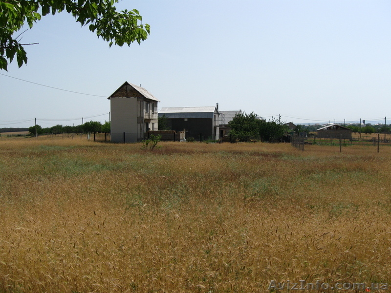 Липовая               . - <ro>Изображение</ro><ru>Изображение</ru> #2, <ru>Объявление</ru> #41540