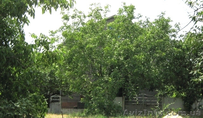 коттедж и 2 комн квартира в Крыму продажа или обмен на ЮБК или квартиру в Киеве - <ro>Изображение</ro><ru>Изображение</ru> #2, <ru>Объявление</ru> #61237