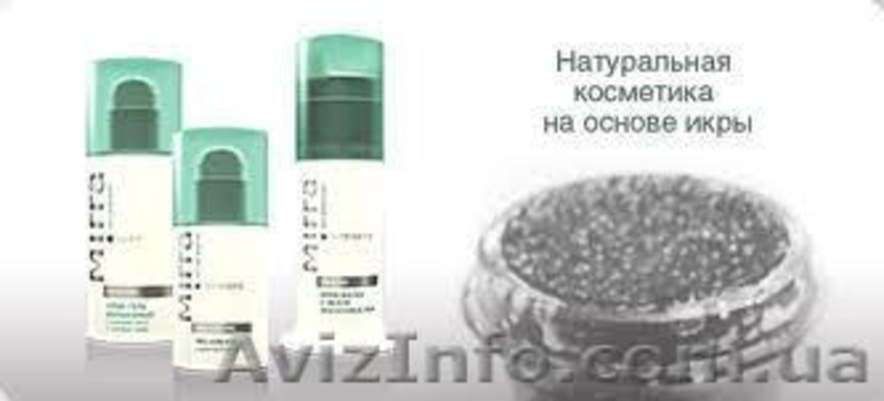 Региональное Представительство - <ro>Изображение</ro><ru>Изображение</ru> #1, <ru>Объявление</ru> #28799