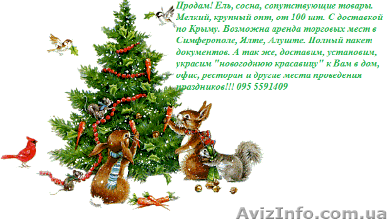 Продам ель, сону. опт, розница. Доставка. - <ro>Изображение</ro><ru>Изображение</ru> #2, <ru>Объявление</ru> #124013