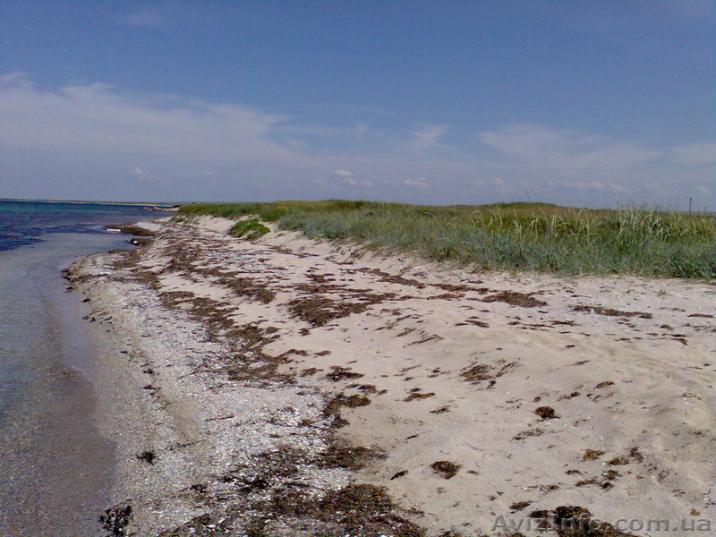 КРЫМ 21 ГЕКТАР У МОРЯ ПРОДАМ +БУХТА ! - <ro>Изображение</ro><ru>Изображение</ru> #5, <ru>Объявление</ru> #163262