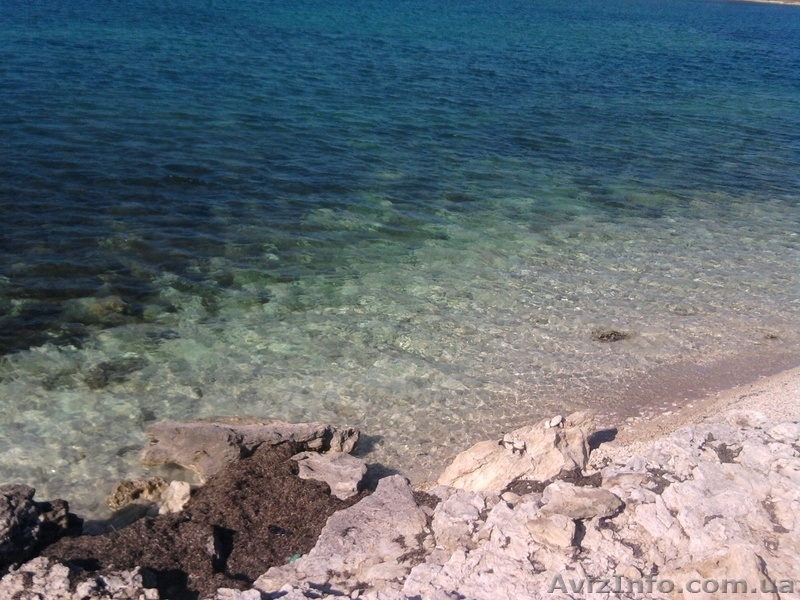 КРЫМ 21 ГЕКТАР У МОРЯ ПРОДАМ +БУХТА ! - <ro>Изображение</ro><ru>Изображение</ru> #10, <ru>Объявление</ru> #163262