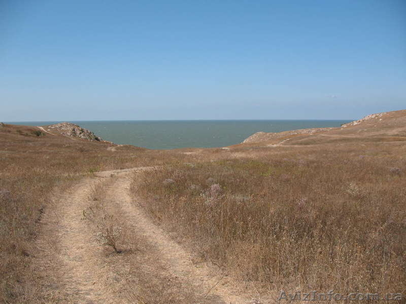 Земля 300 м от моря, 14 000 долл. крым - <ro>Изображение</ro><ru>Изображение</ru> #6, <ru>Объявление</ru> #173135