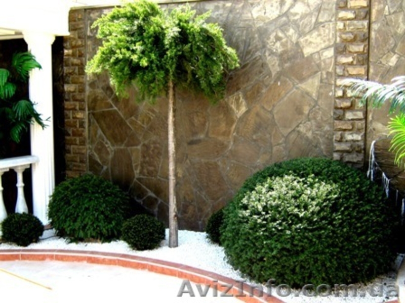 Ландшафтный дизайн, Севастополь - <ro>Изображение</ro><ru>Изображение</ru> #1, <ru>Объявление</ru> #184922